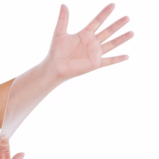 CE FDA SGS Certified Clear Disposable Food Processing Vinyl Glove Powder Free